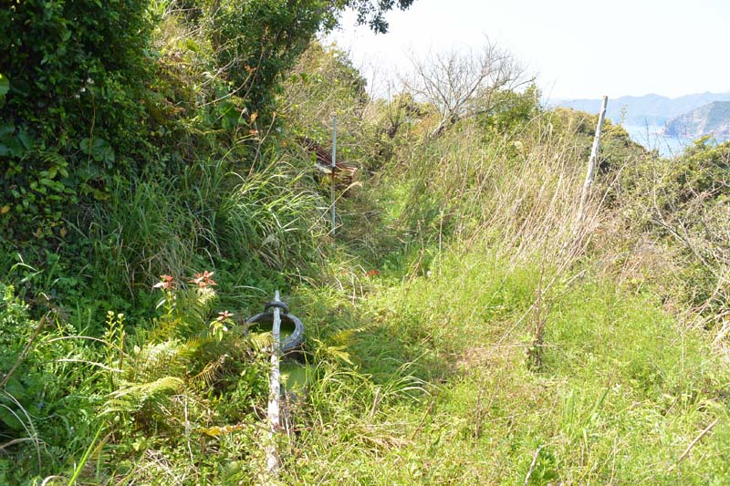 f:id:tonji44:20190328173330j:plain