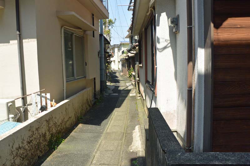 f:id:tonji44:20190328173605j:plain