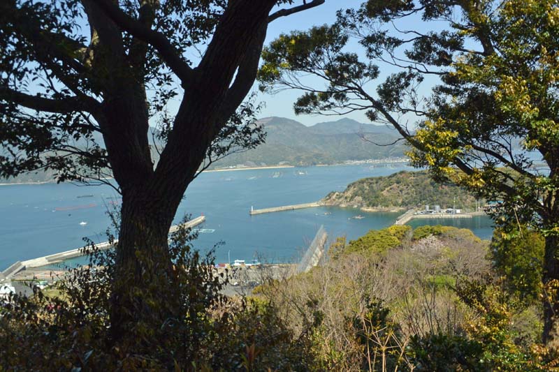 f:id:tonji44:20190328175634j:plain