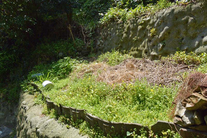 f:id:tonji44:20190328203743j:plain