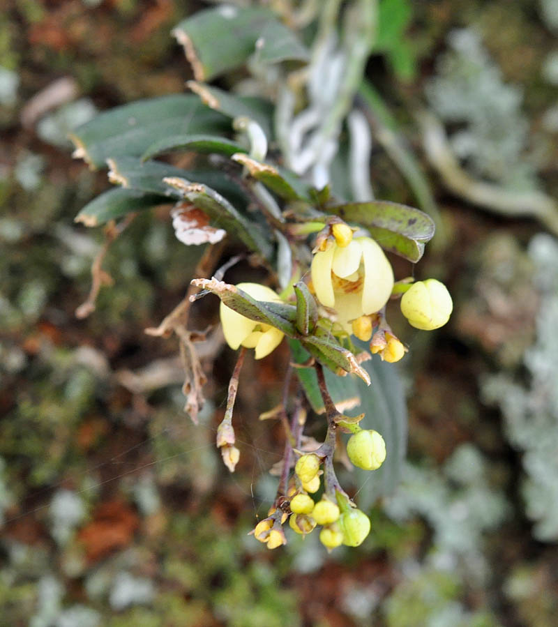 f:id:tonji44:20190428094835j:plain