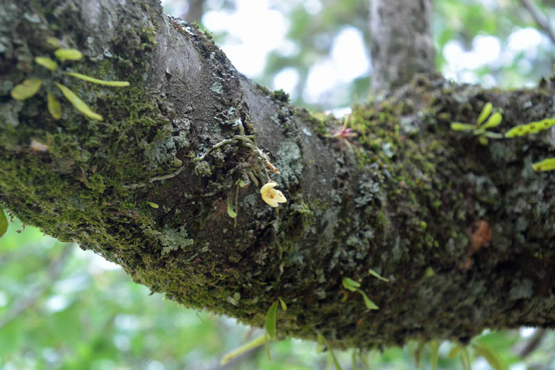 f:id:tonji44:20190428094935j:plain