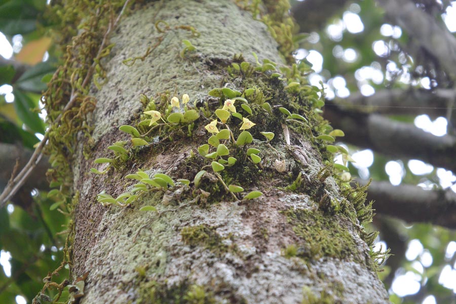 f:id:tonji44:20190518123700j:plain f:id:tonji44:20190518123700j:plain