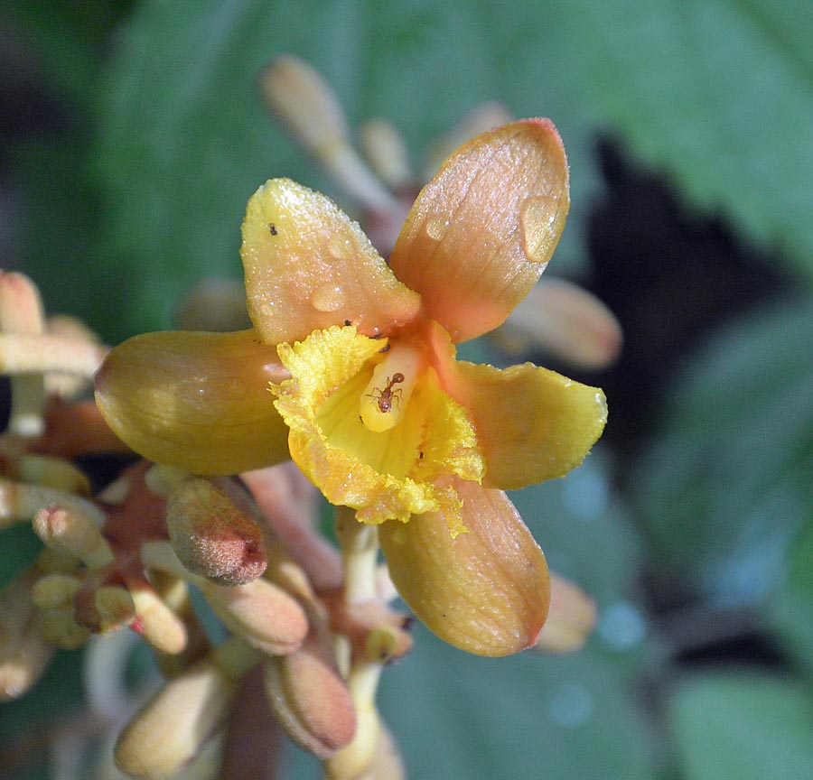 f:id:tonji44:20190602162947j:plain f:id:tonji44:20190602162947j:plain