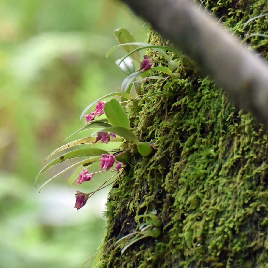 f:id:tonji44:20190706151610j:plain f:id:tonji44:20190706151610j:plain