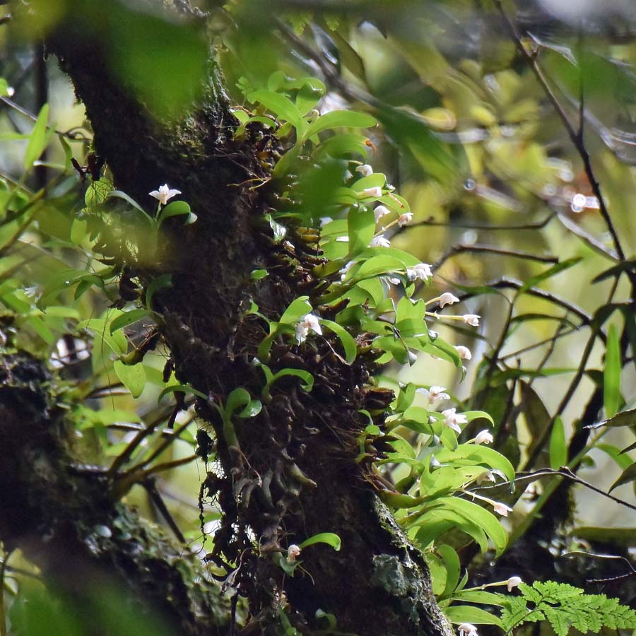 f:id:tonji44:20190711105820j:plain f:id:tonji44:20190711105820j:plain