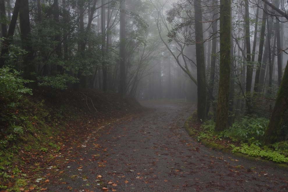 f:id:tonji44:20190928092530j:plain f:id:tonji44:20190928092530j:plain