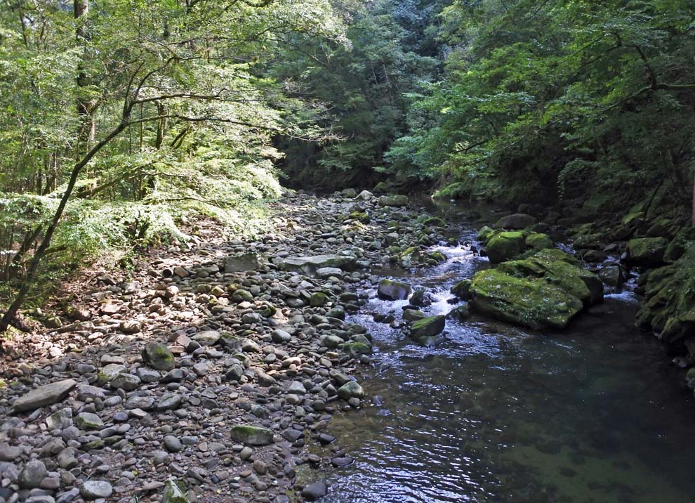 f:id:tonji44:20191007165652j:plain