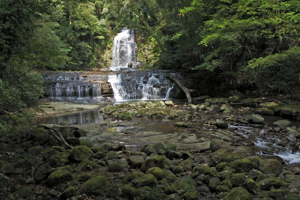 f:id:tonji44:20191007170050j:plain