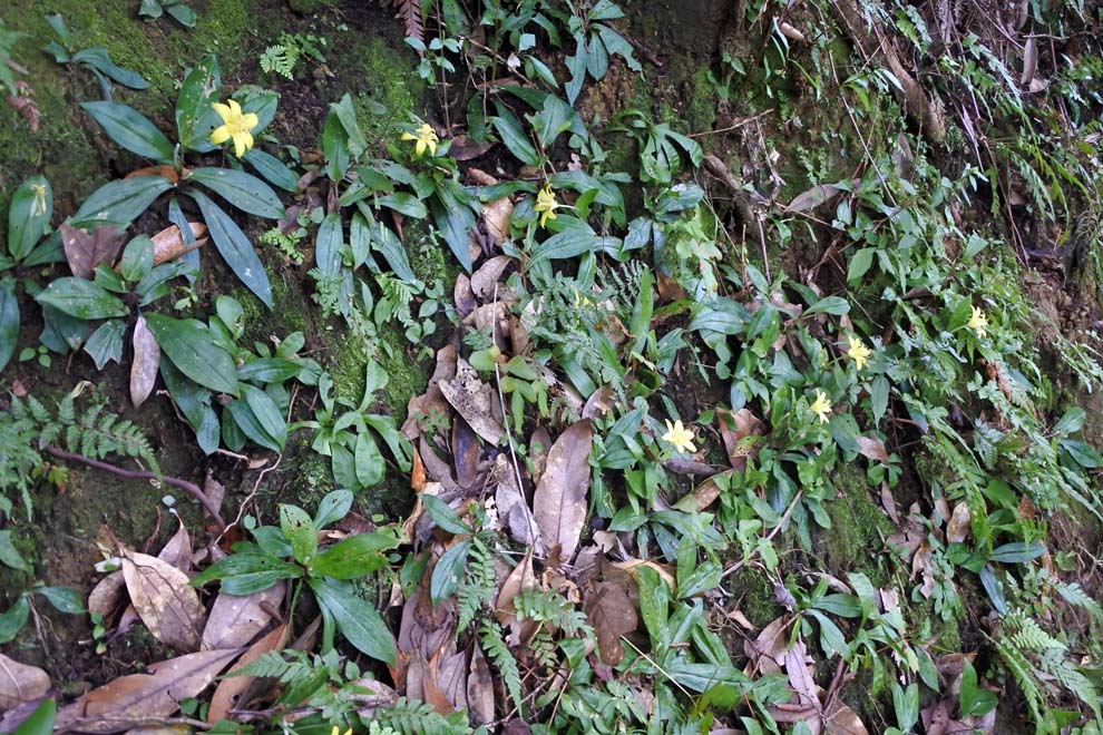 f:id:tonji44:20191007180840j:plain f:id:tonji44:20191007180840j:plain