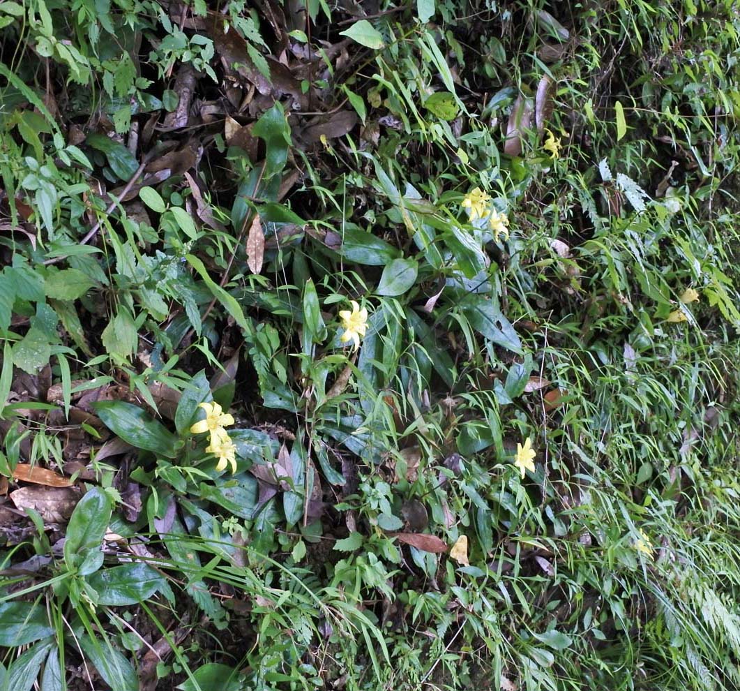 f:id:tonji44:20191007180855j:plain f:id:tonji44:20191007180855j:plain