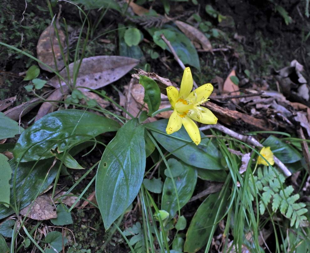 f:id:tonji44:20191007180913j:plain f:id:tonji44:20191007180913j:plain