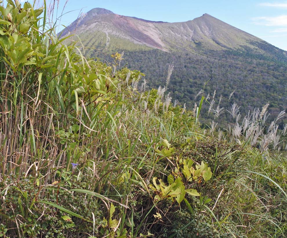 f:id:tonji44:20191013161033j:plain f:id:tonji44:20191013161033j:plain