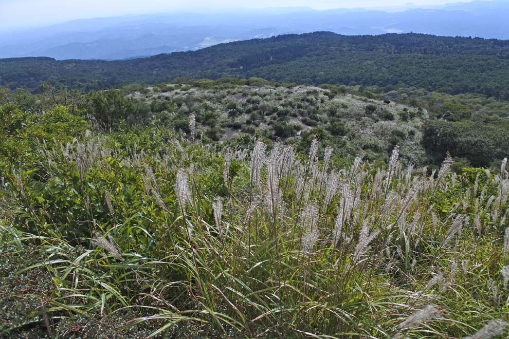 f:id:tonji44:20191013162639j:plain f:id:tonji44:20191013162639j:plain