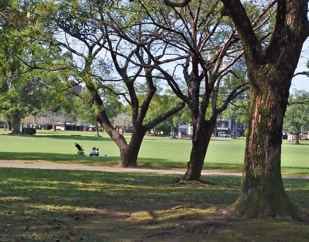 f:id:tonji44:20191023151750j:plain