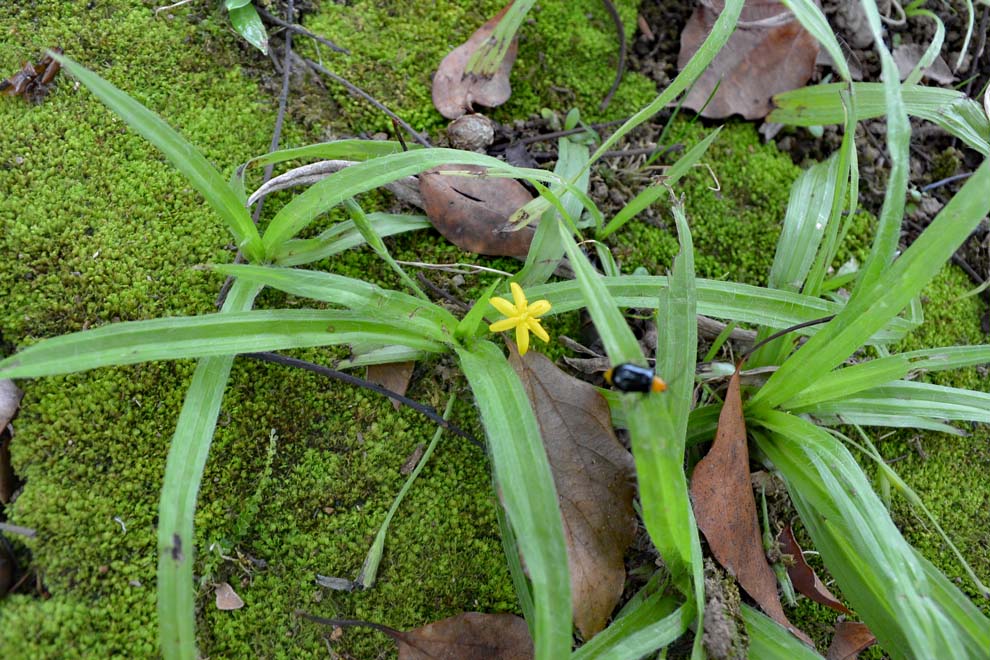 f:id:tonji44:20191023152027j:plain