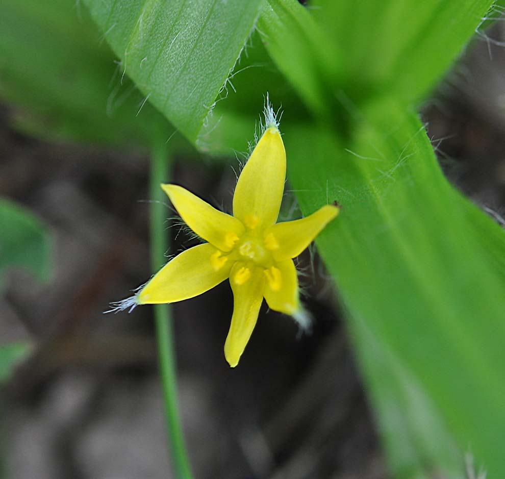 f:id:tonji44:20191023152057j:plain