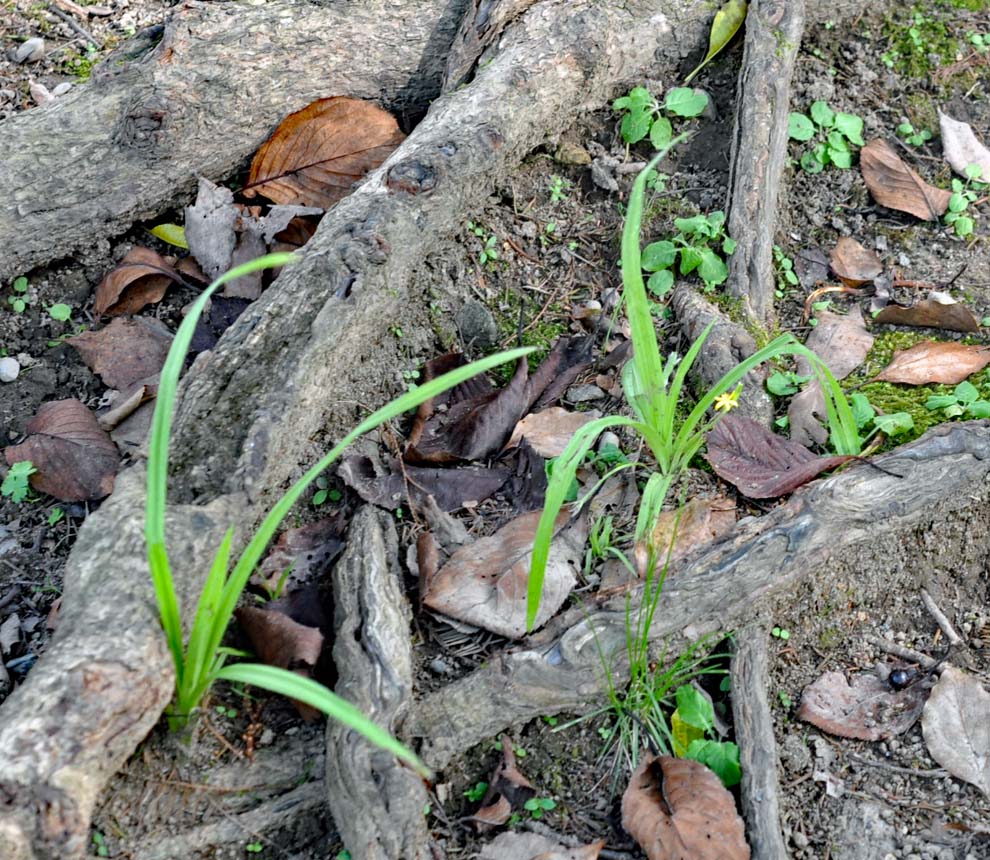 f:id:tonji44:20191023152433j:plain