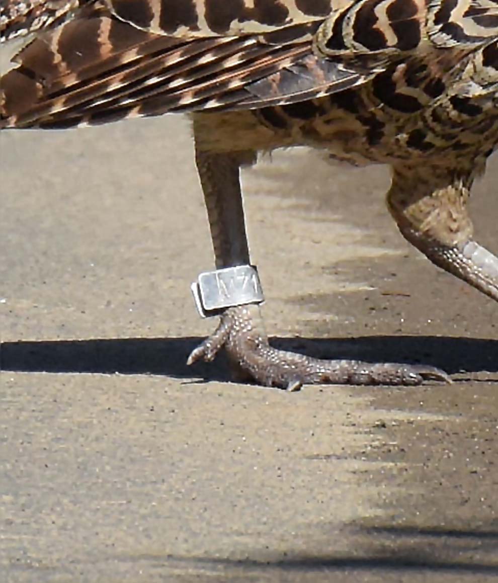 f:id:tonji44:20191026181930j:plain