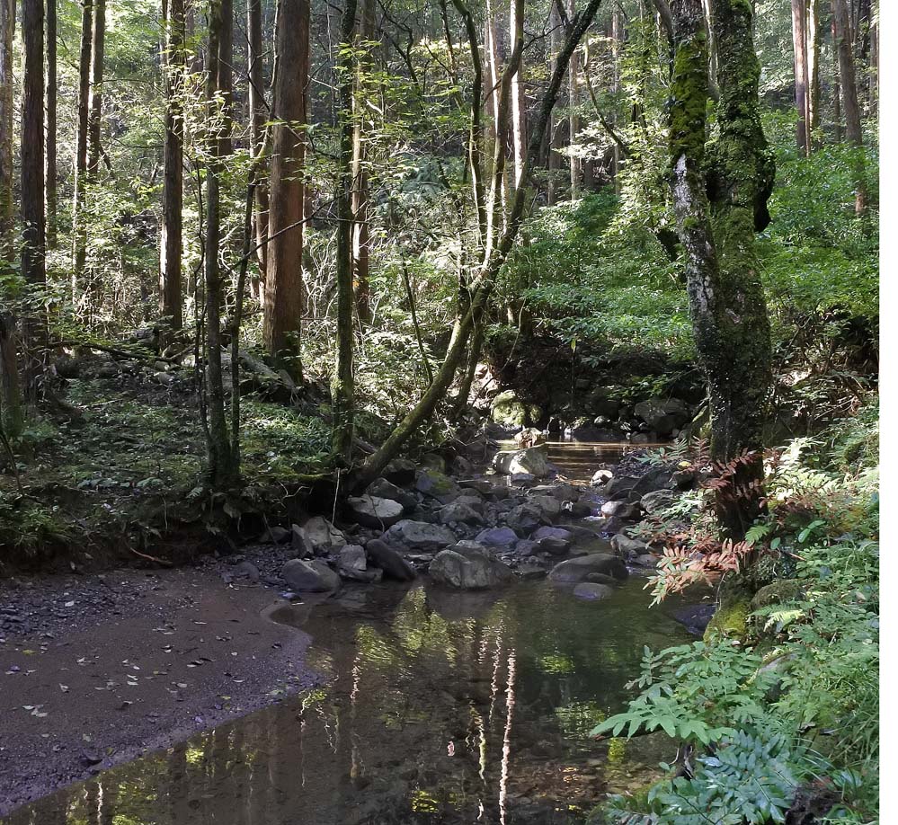 f:id:tonji44:20191102135455j:plain f:id:tonji44:20191102135455j:plain