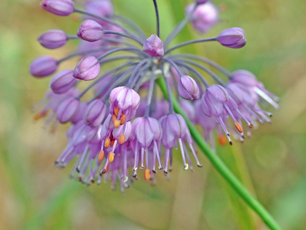 f:id:tonji44:20191113213115j:plain
