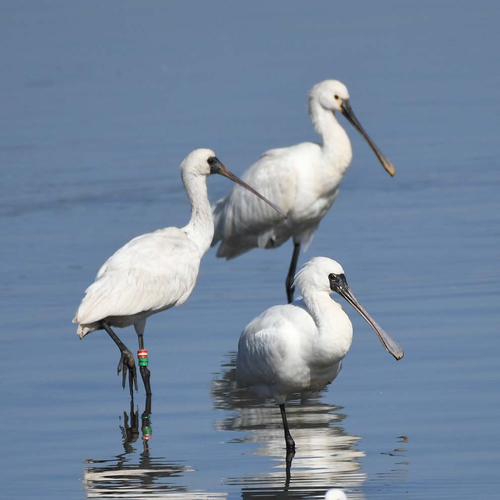 f:id:tonji44:20191121154832j:plain