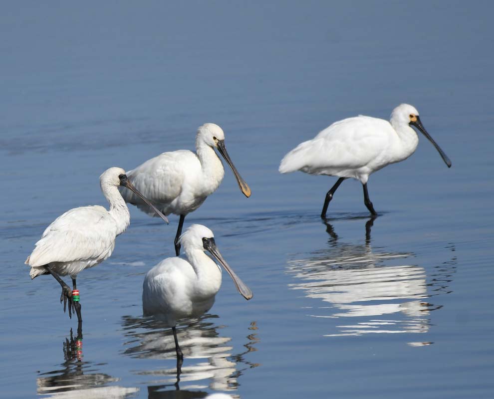 f:id:tonji44:20191121154943j:plain