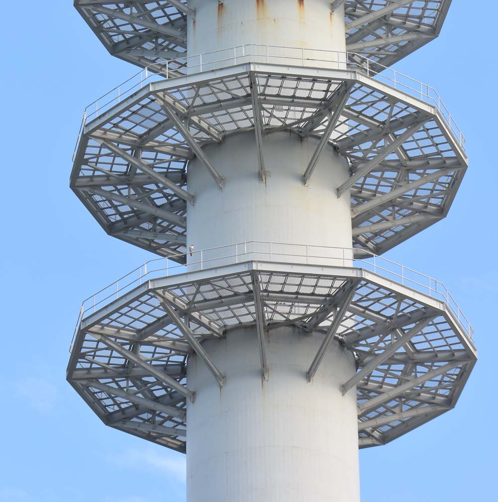 f:id:tonji44:20191204222719j:plain