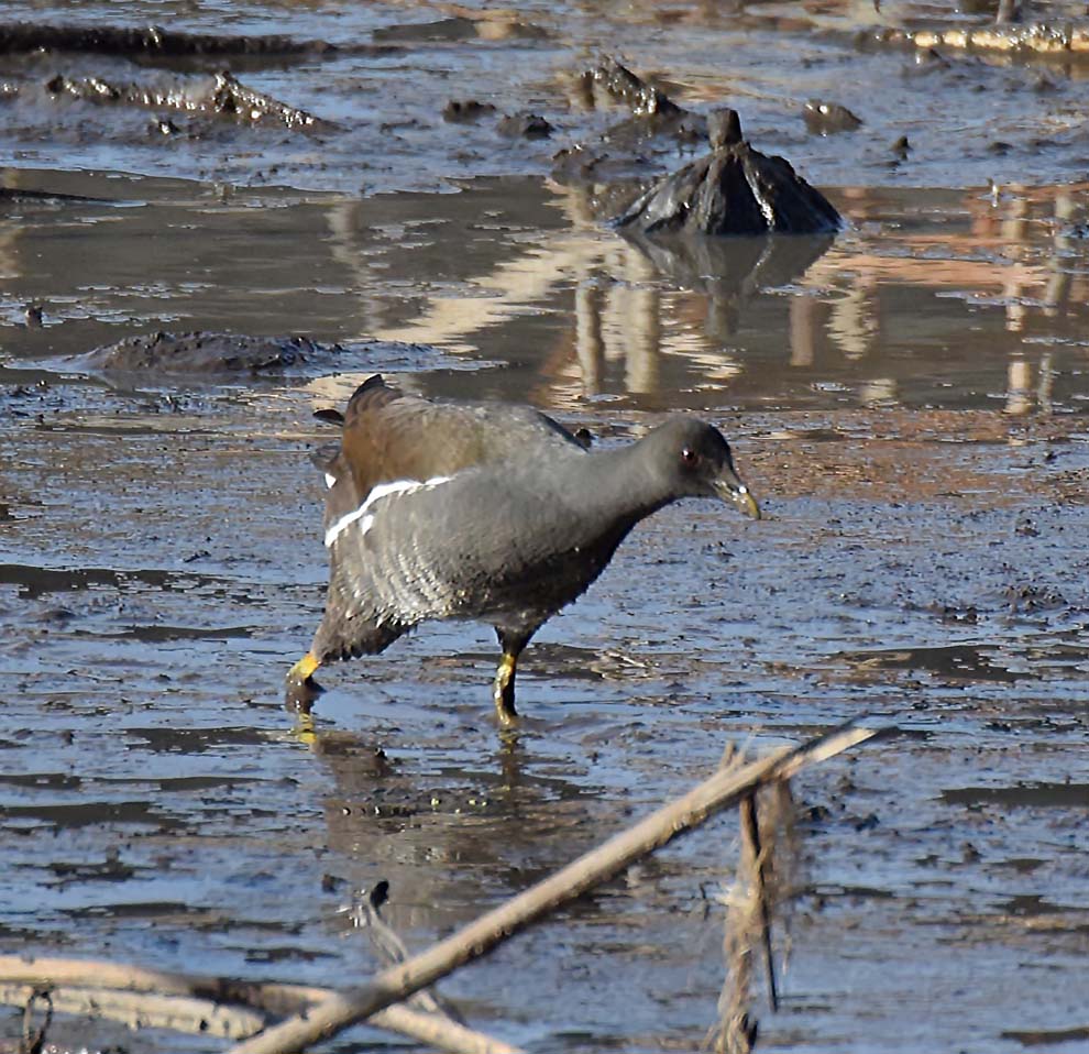 f:id:tonji44:20191216180117j:plain f:id:tonji44:20191216180117j:plain