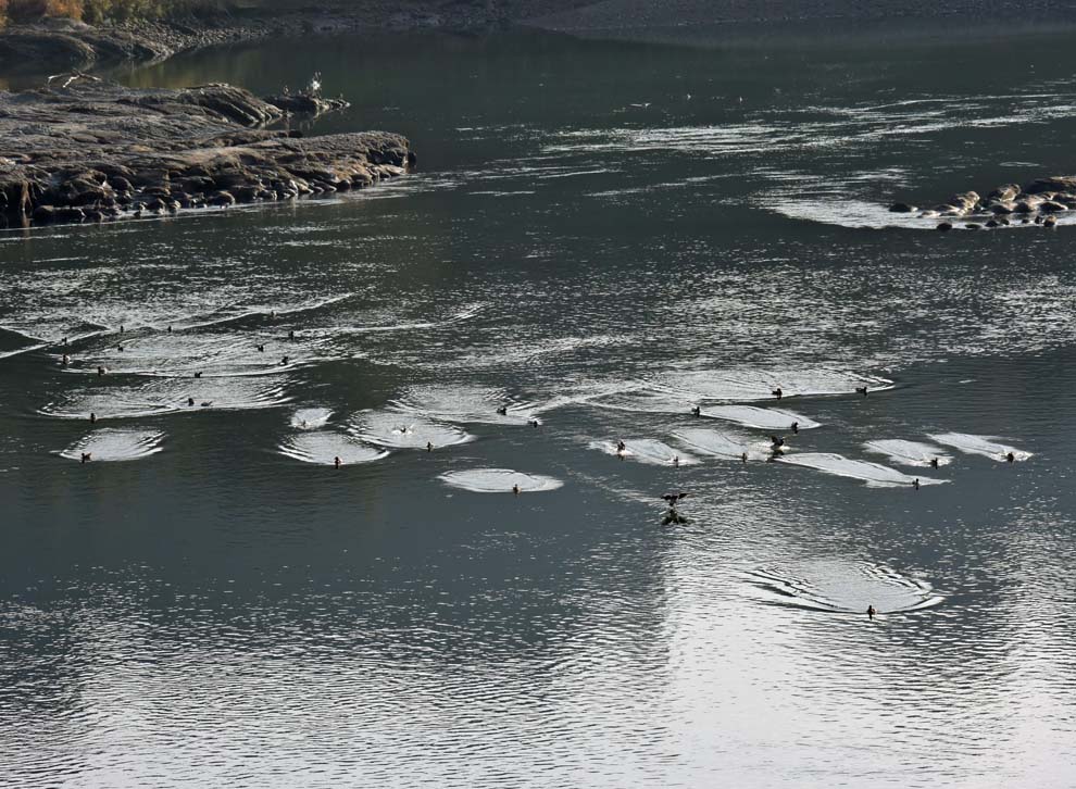 f:id:tonji44:20191216202519j:plain