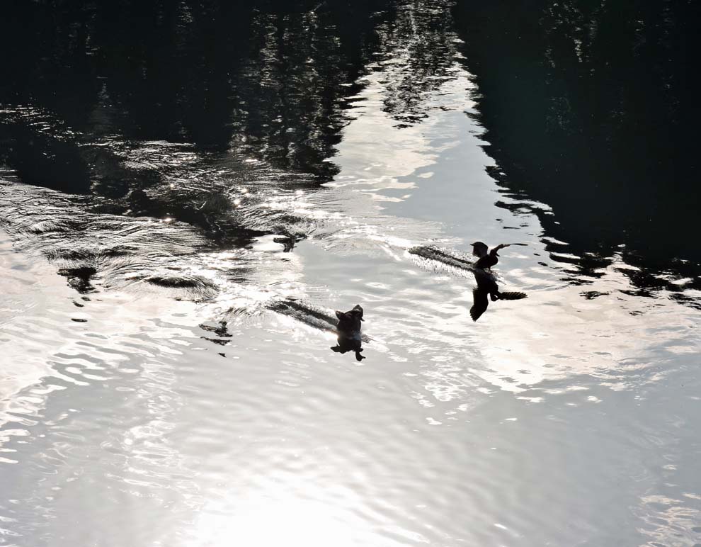 f:id:tonji44:20191216202642j:plain