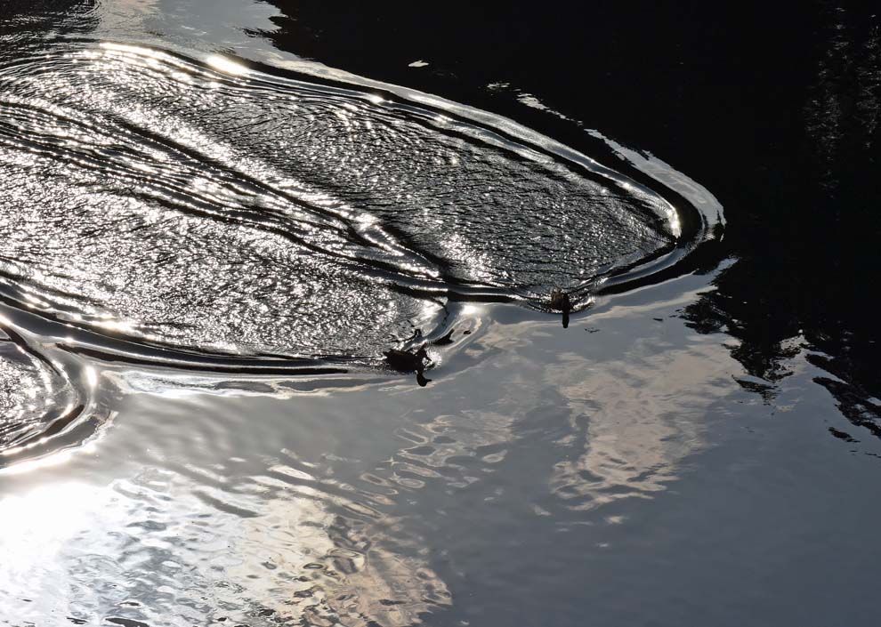 f:id:tonji44:20191216202720j:plain