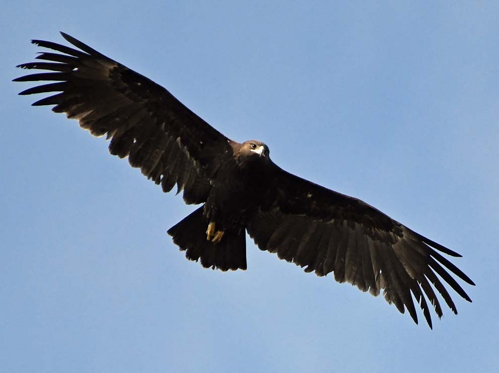 f:id:tonji44:20200109212341j:plain