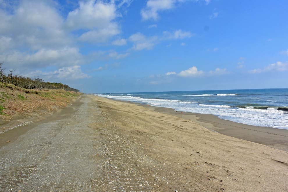 f:id:tonji44:20200302103409j:plain