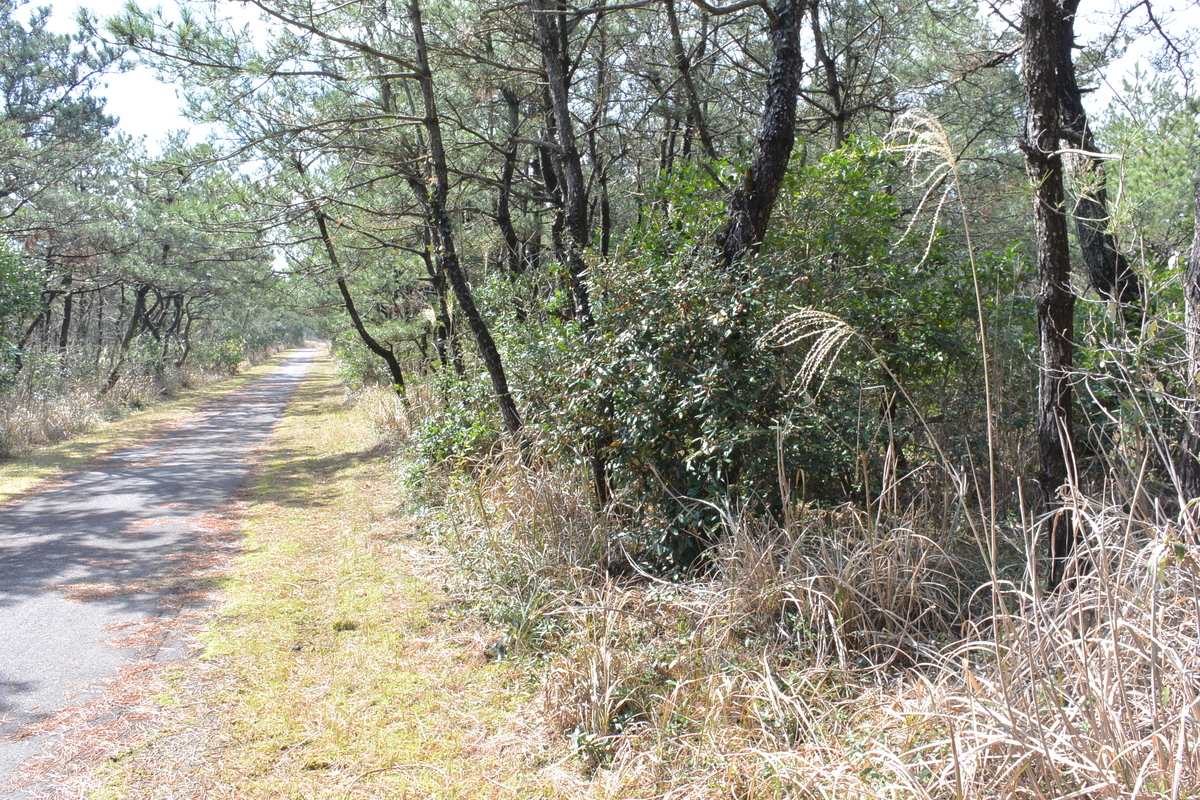 f:id:tonji44:20200302110540j:plain f:id:tonji44:20200302110540j:plain