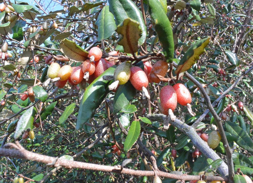 f:id:tonji44:20200302150634j:plain f:id:tonji44:20200302150634j:plain