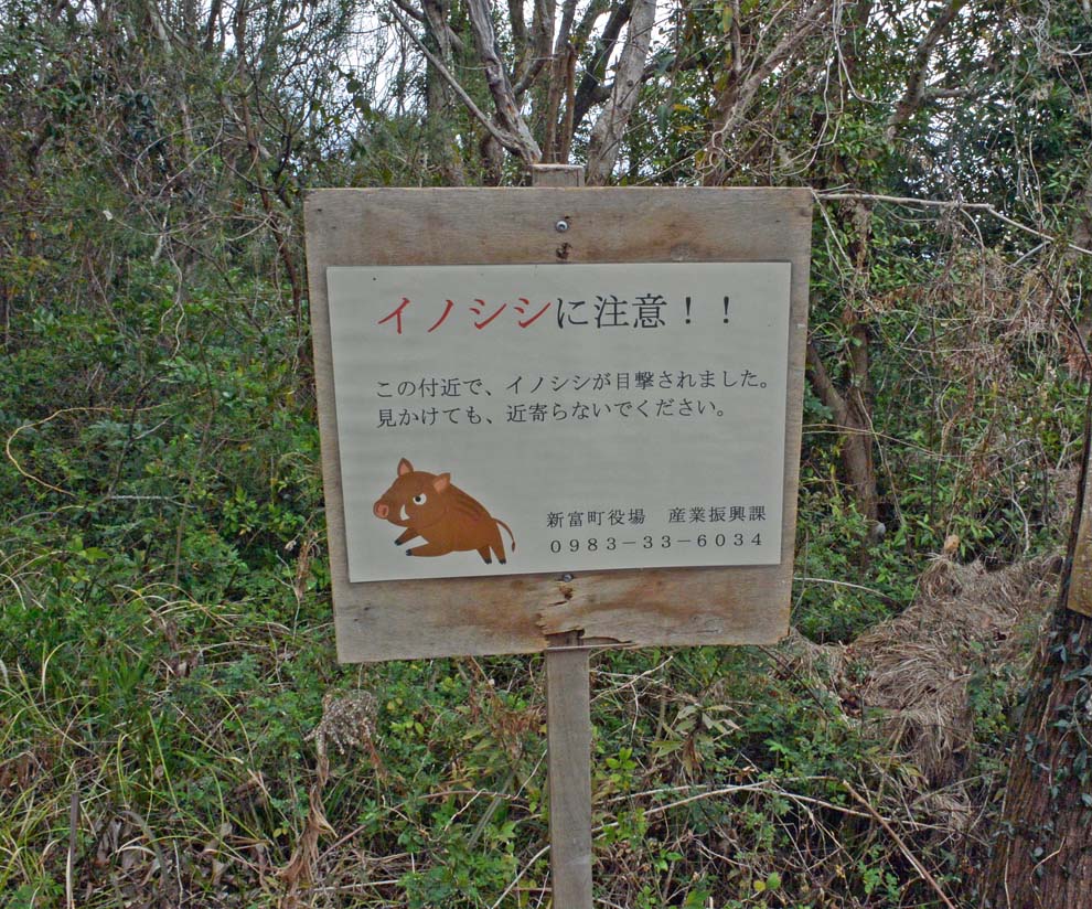 f:id:tonji44:20200304150654j:plain