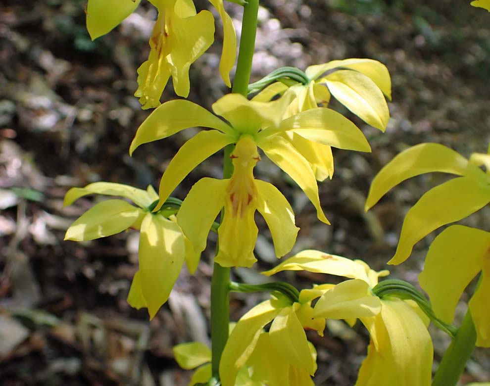 f:id:tonji44:20200428132736j:plain