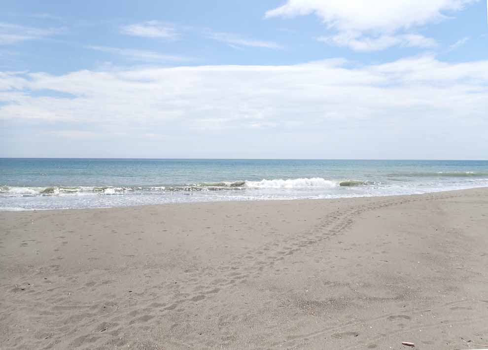 f:id:tonji44:20200612173148j:plain f:id:tonji44:20200612173148j:plain