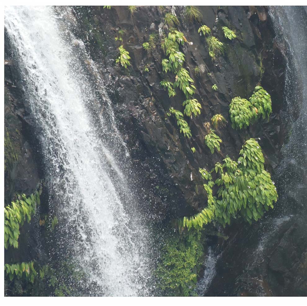 f:id:tonji44:20200820214845j:plain f:id:tonji44:20200820214845j:plain