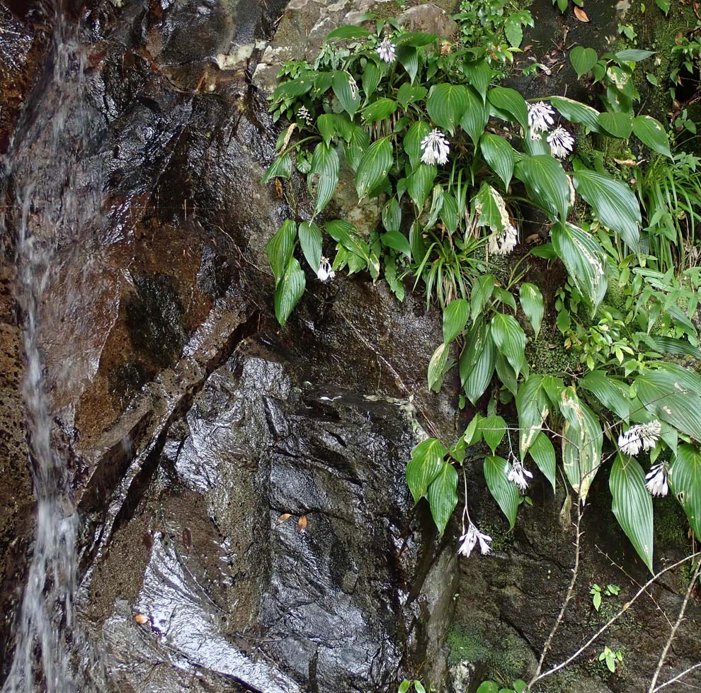 f:id:tonji44:20200820214906j:plain f:id:tonji44:20200820214906j:plain