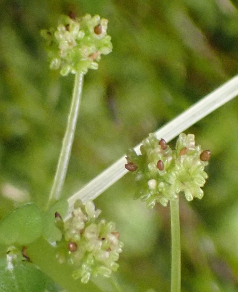 f:id:tonji44:20200923212552j:plain