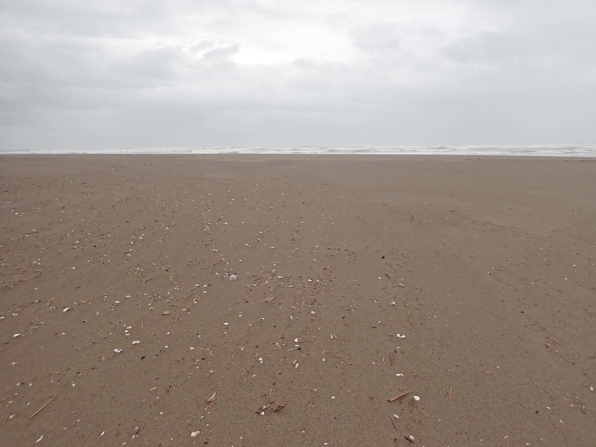 f:id:tonji44:20201022161510j:plain