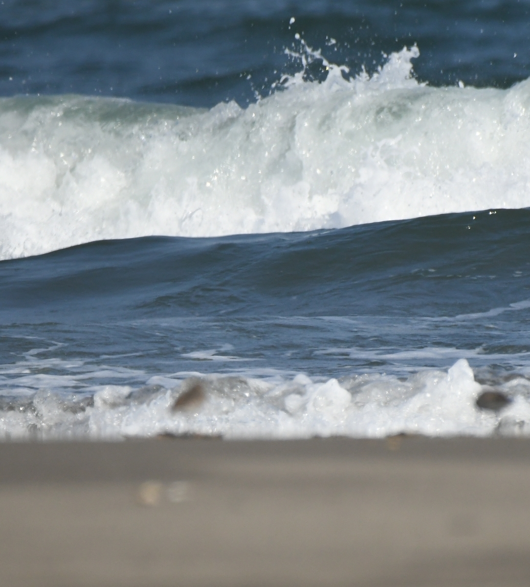 f:id:tonji44:20201104161252j:plain