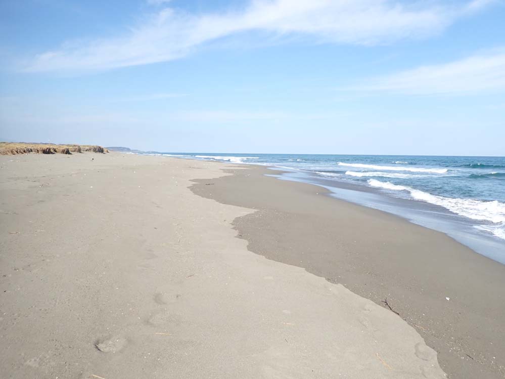 f:id:tonji44:20201104163936j:plain