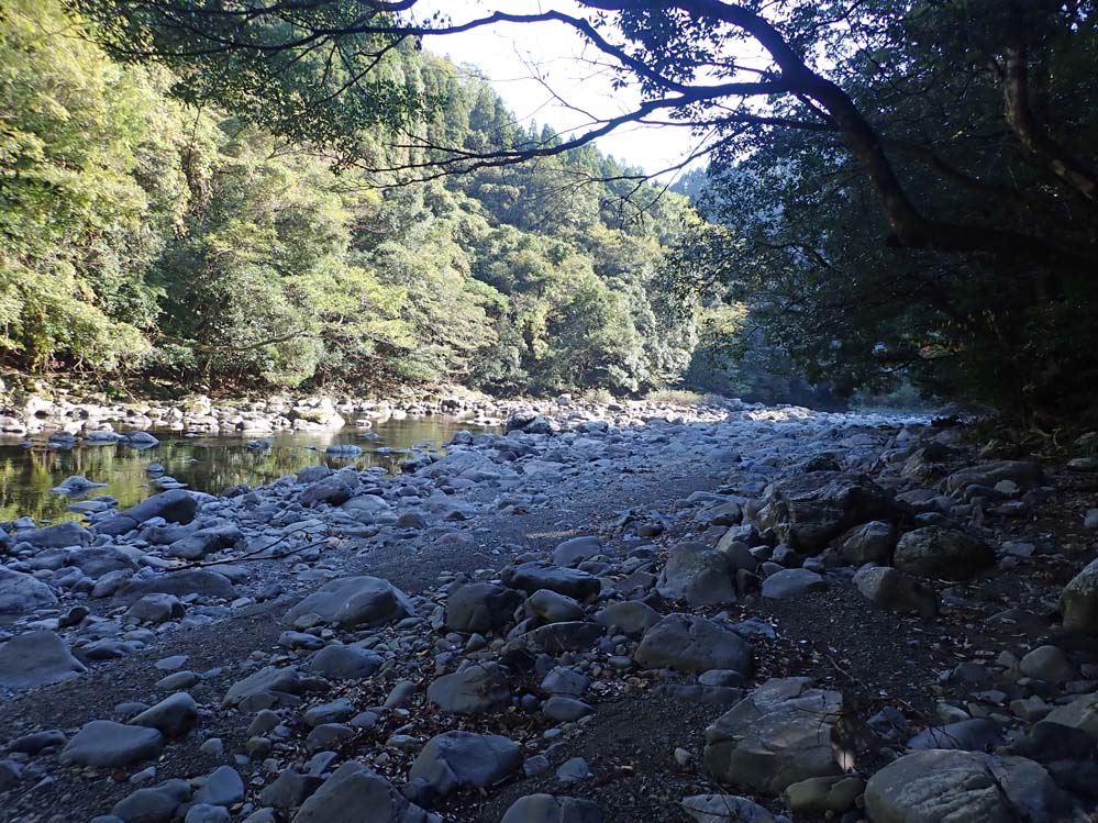 f:id:tonji44:20201113211024j:plain