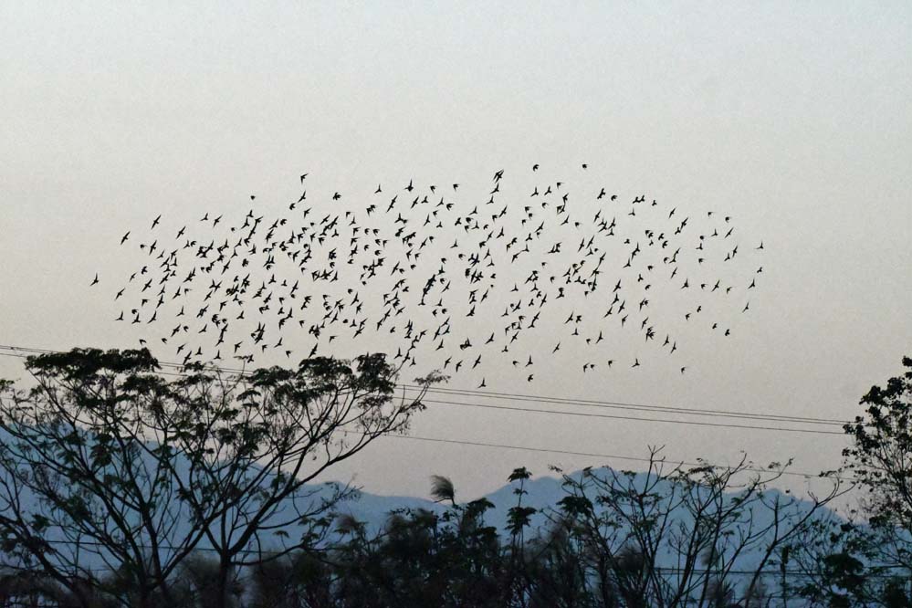 f:id:tonji44:20201129101841j:plain