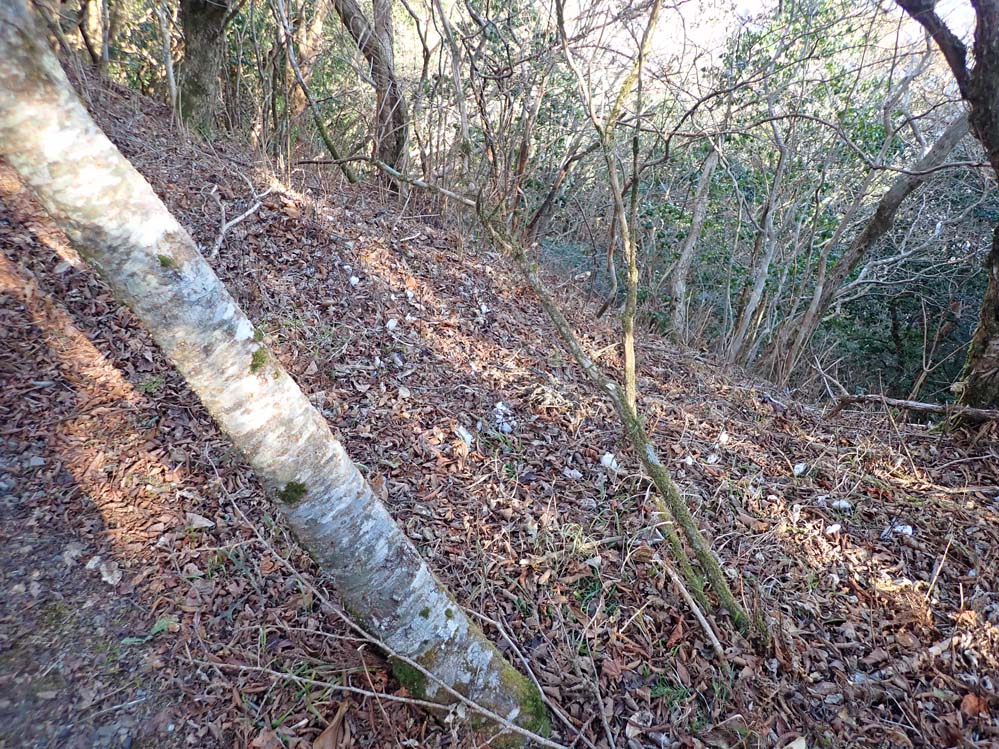 f:id:tonji44:20201216203024j:plain