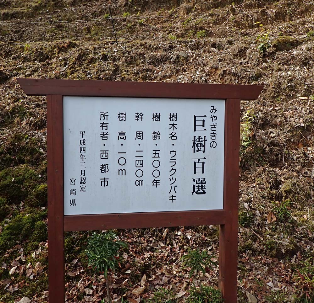 f:id:tonji44:20210107183856j:plain