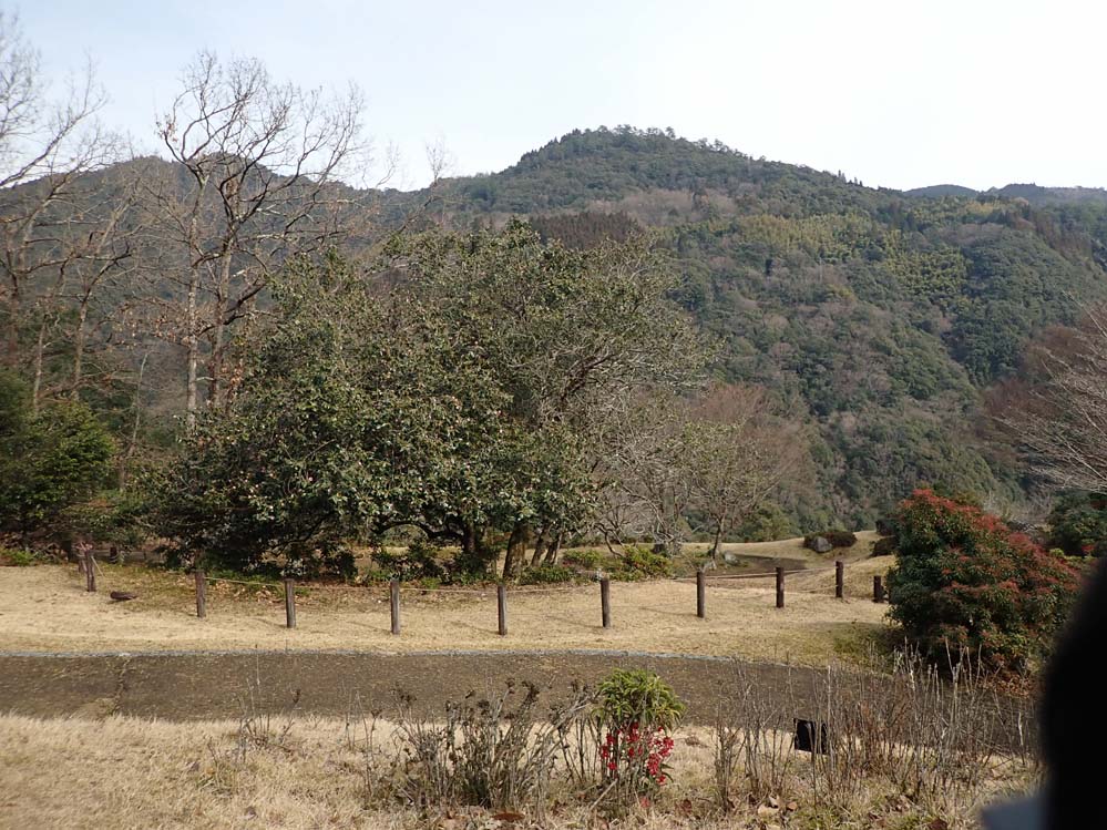 f:id:tonji44:20210107183944j:plain